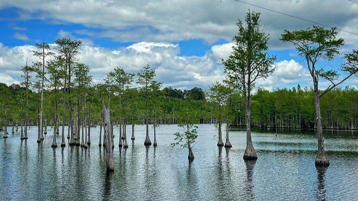 Kayaking at George L. Smith State Park : Squatch Trading Co.